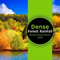 Dense Forest Rainfall - Melodic Nature Music, Vol.8