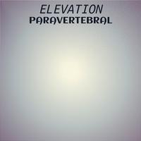 Elevation Paravertebral