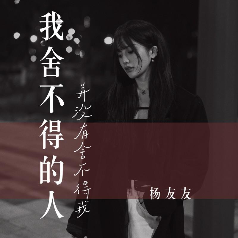 我舍不得的人并没有舍不得我 - 杨友友封面