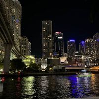 Midnight in Miami