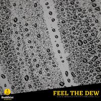 Feel the Dew - Soulful Abundance with Rain Nature Sounds, Vol. 6