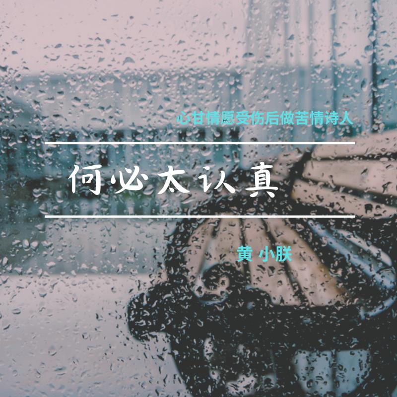 何必太认真封面