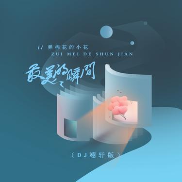 最美的瞬间 (DJ版)封面