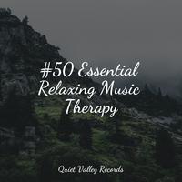 #50 Essential Relaxing Music Therapy