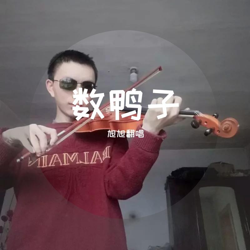 数鸭子封面