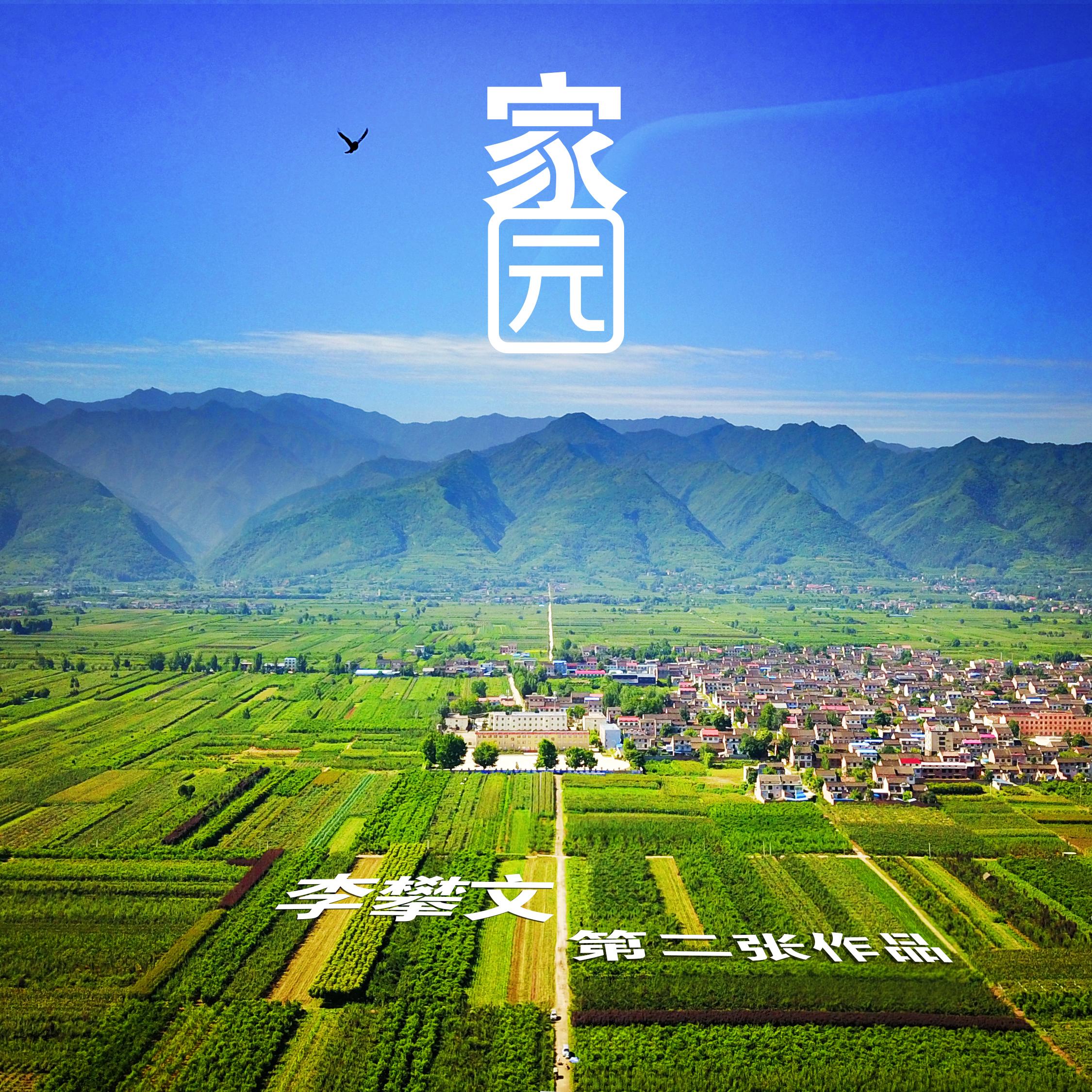 一起飞封面