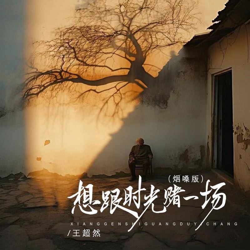想跟时光赌一场 (烟嗓版)封面