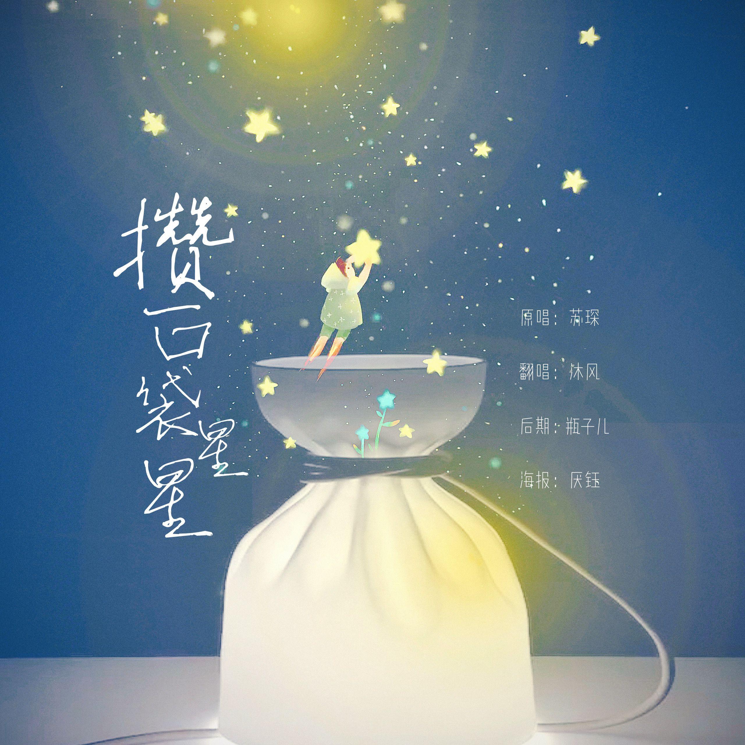 攒一口袋星星封面