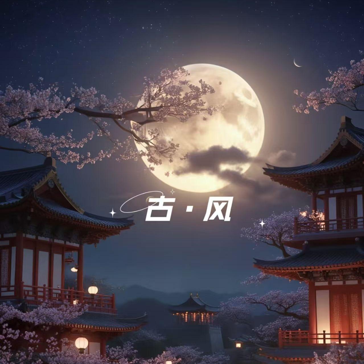 风雨萧瑟封面