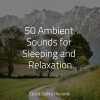 50 Ambient Sounds for Sleeping and Relaxation For Dogs