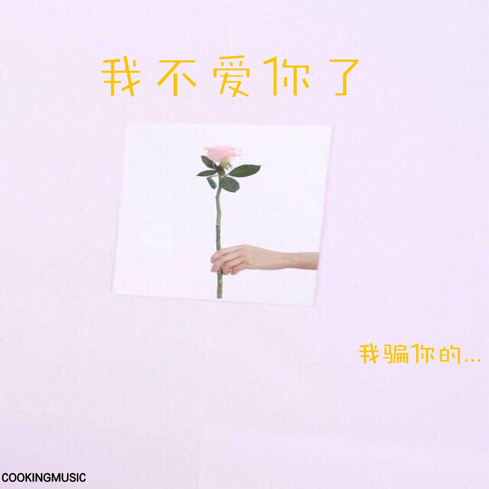 我不爱你了封面