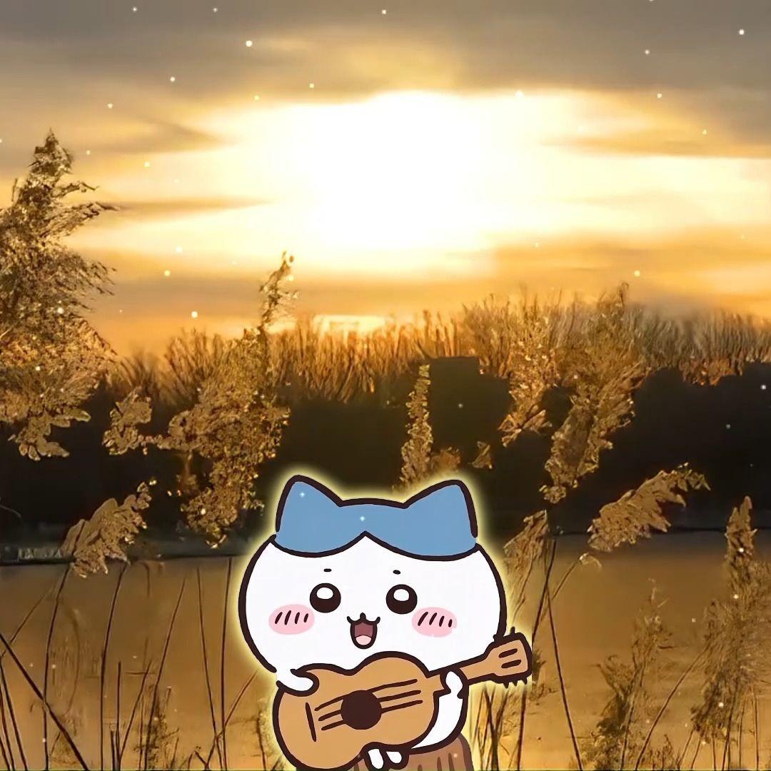 我的答铃-小八封面