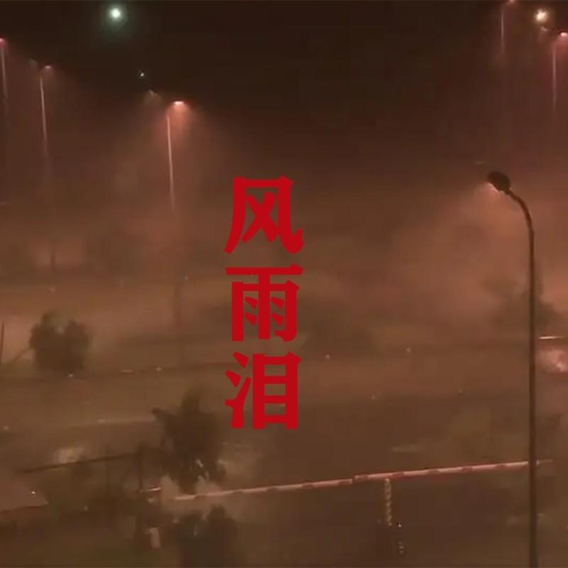 风雨泪 (伴奏)封面