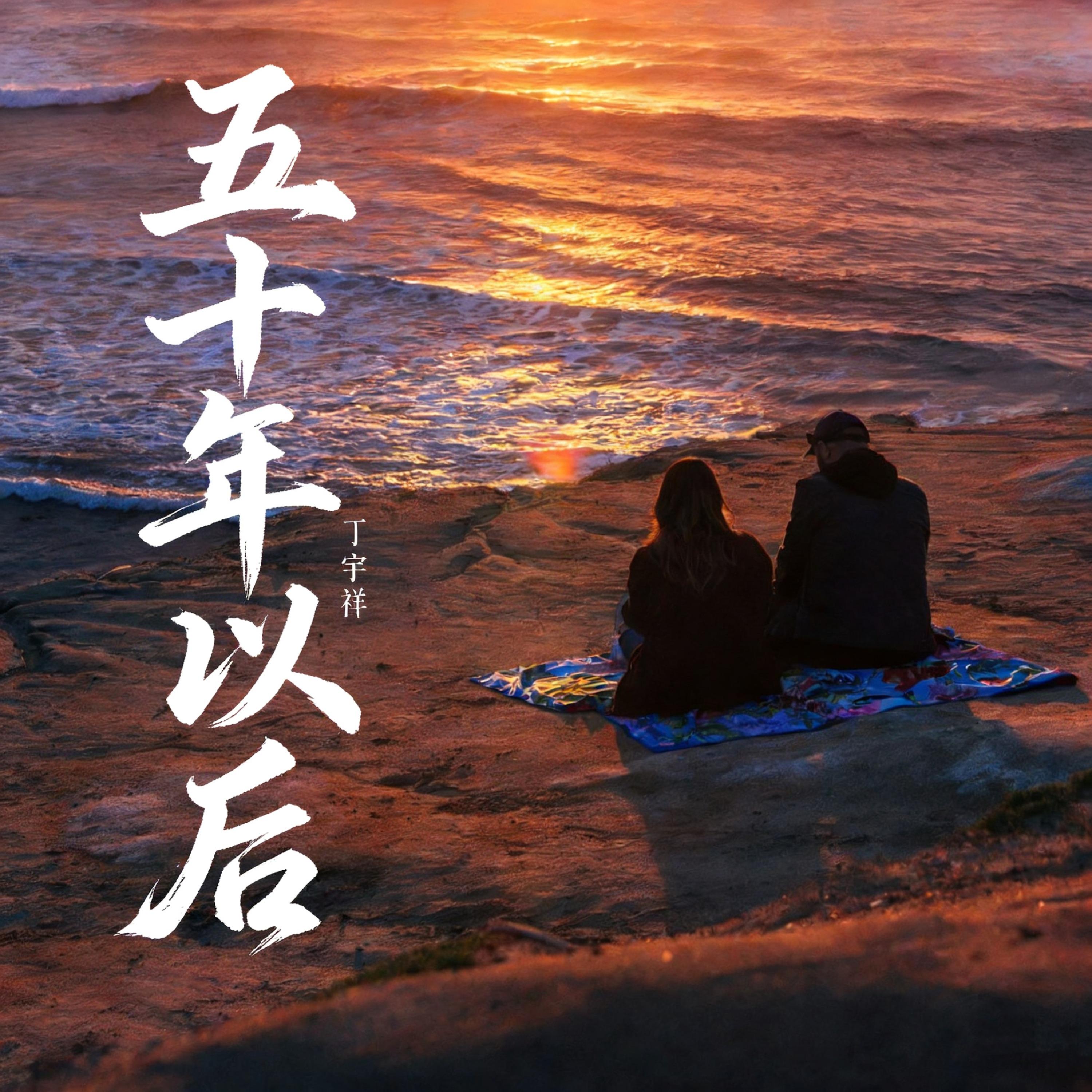 五十年以后封面