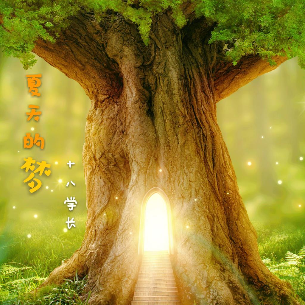 夏天的梦（温情版） 伴奏