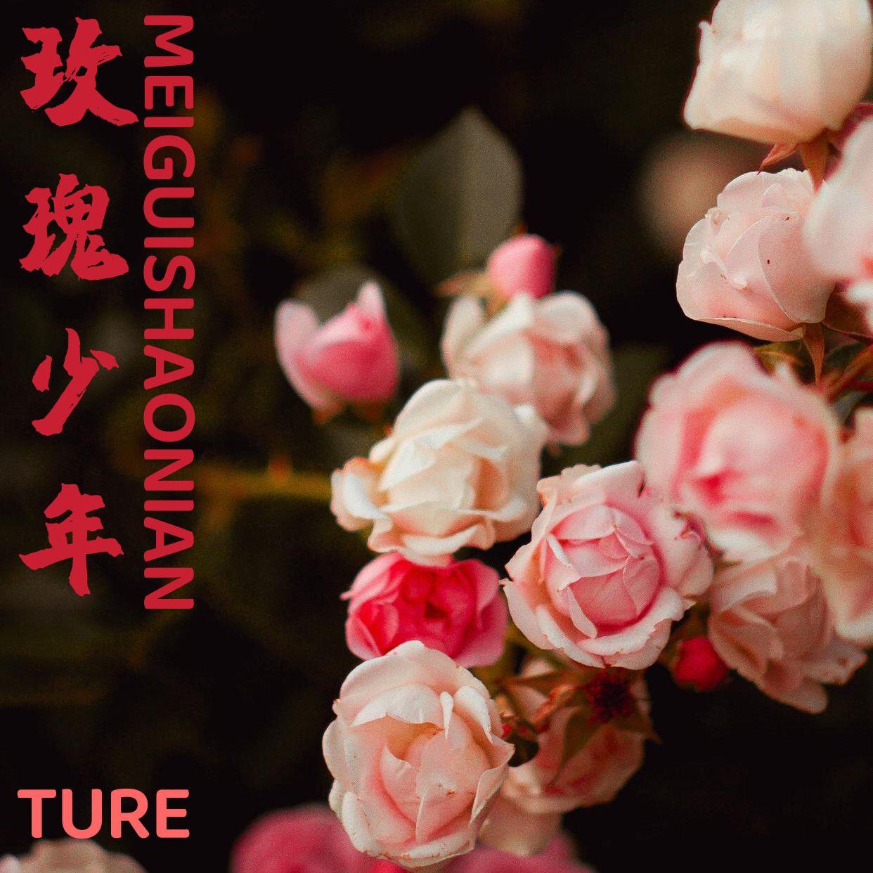 玫瑰少年（Cover：周深 GAI周延）封面