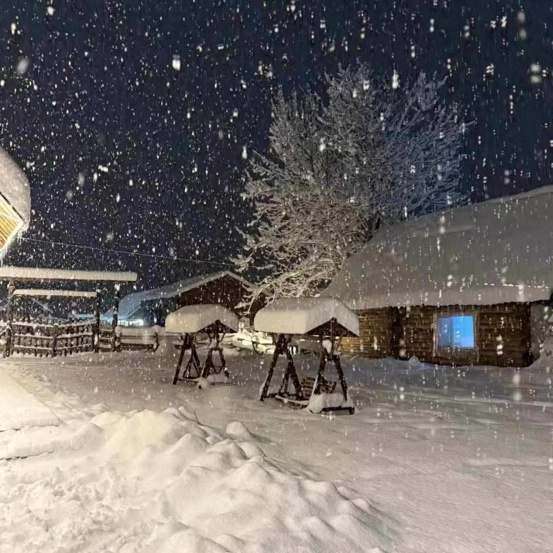 春雪 伴奏封面