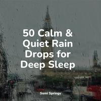 50 Calm & Quiet Rain Drops for Deep Sleep