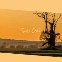 Sun Oak