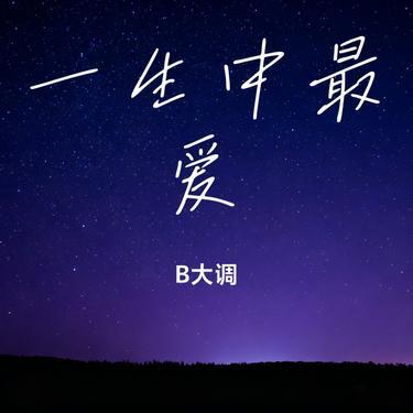 一生中最爱 (B大调 Remix)封面