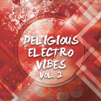 Deligious Electro Vibes, Vol. 2