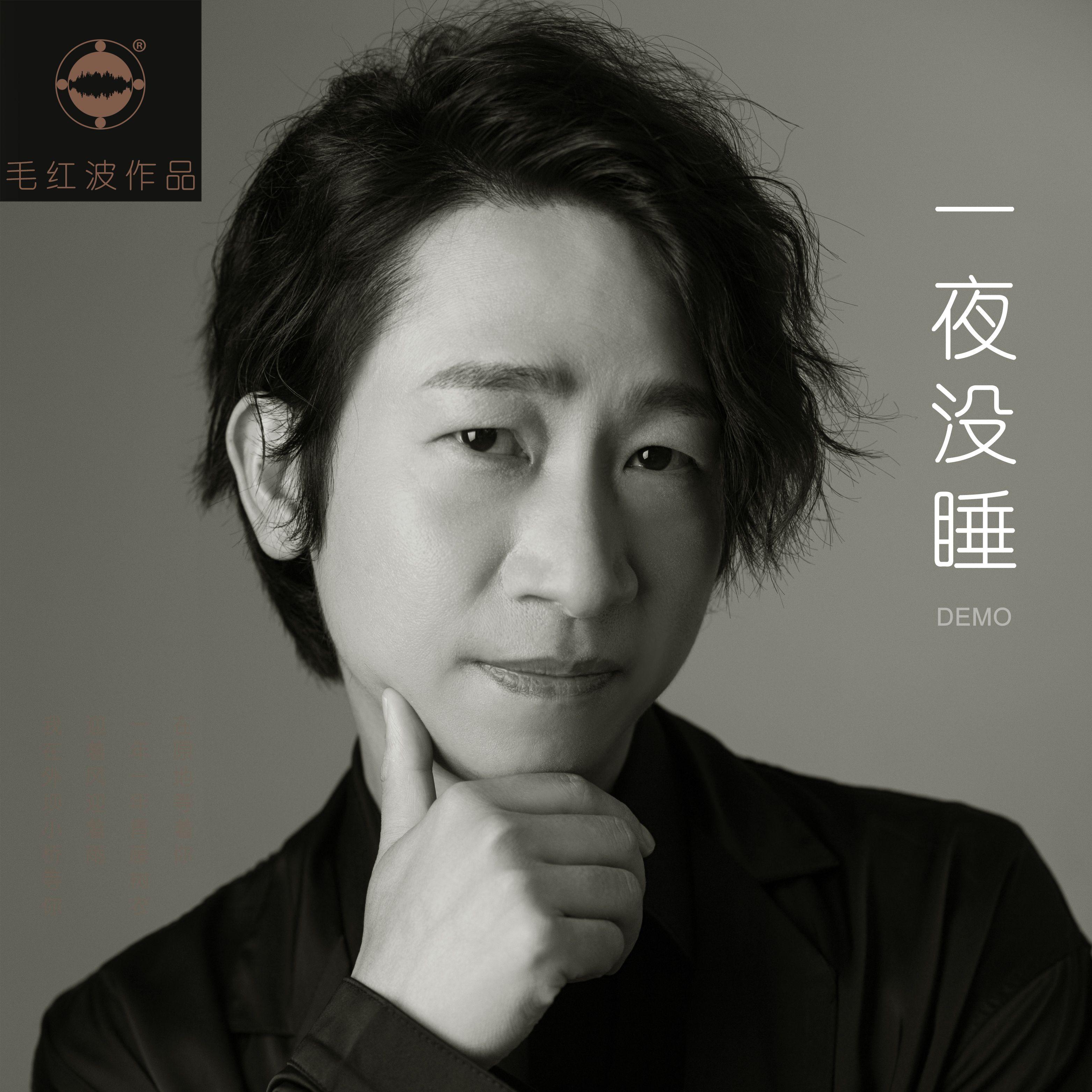 一夜没睡封面
