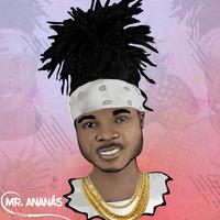Mr. Ananás