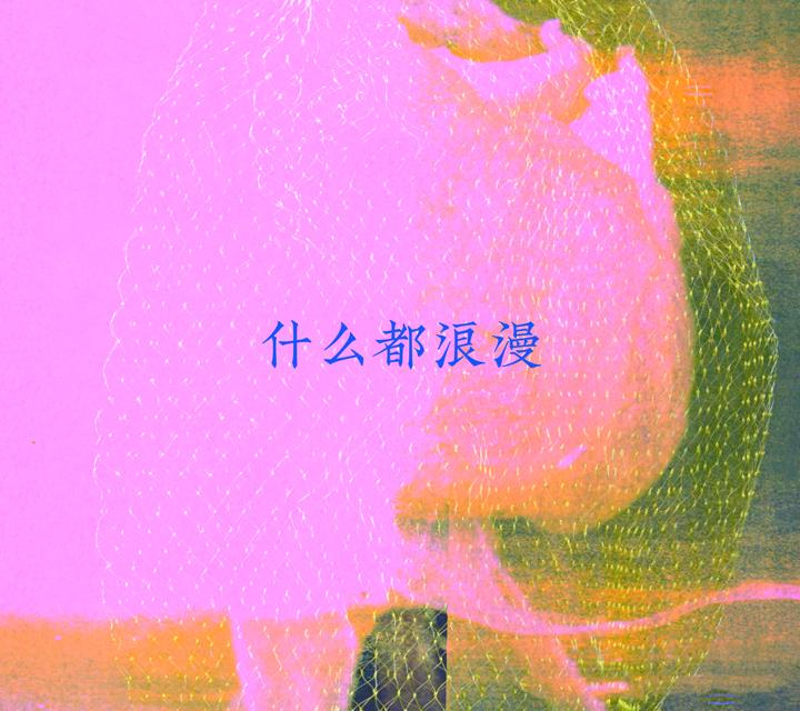 什么都浪漫