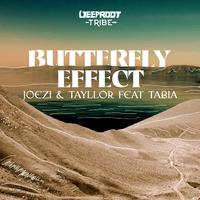 Butterfly Effect