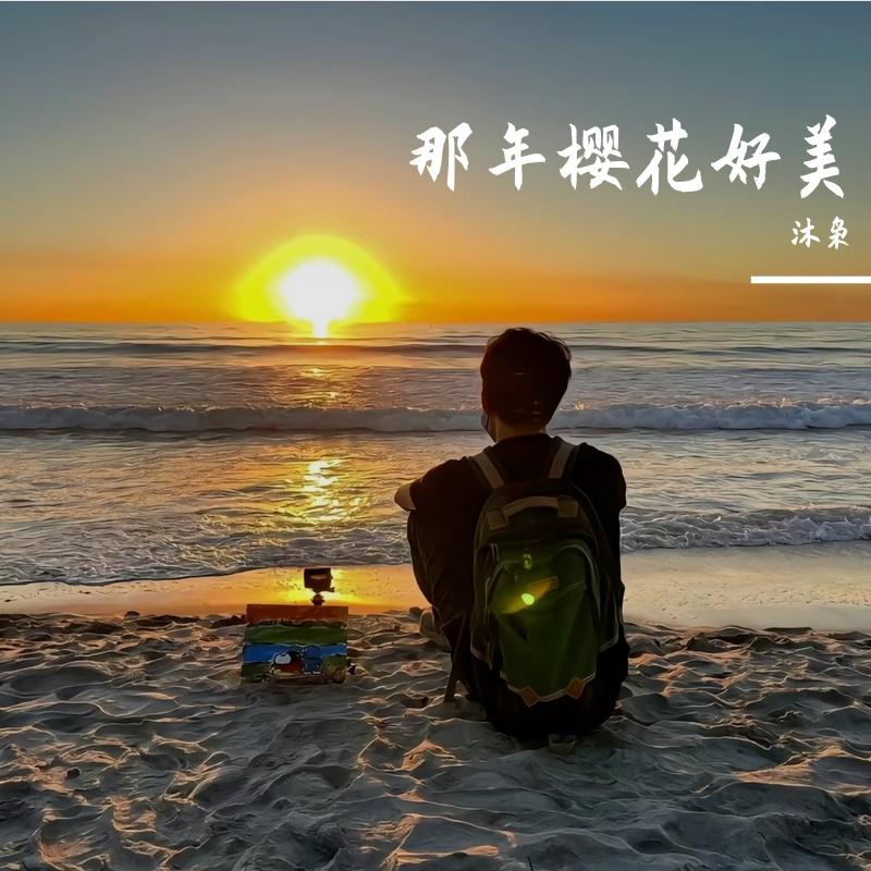 长不大的童年封面