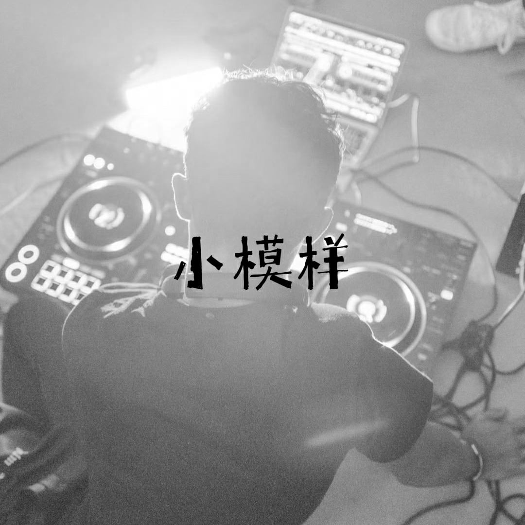 小模样2025 - DJ阿念封面