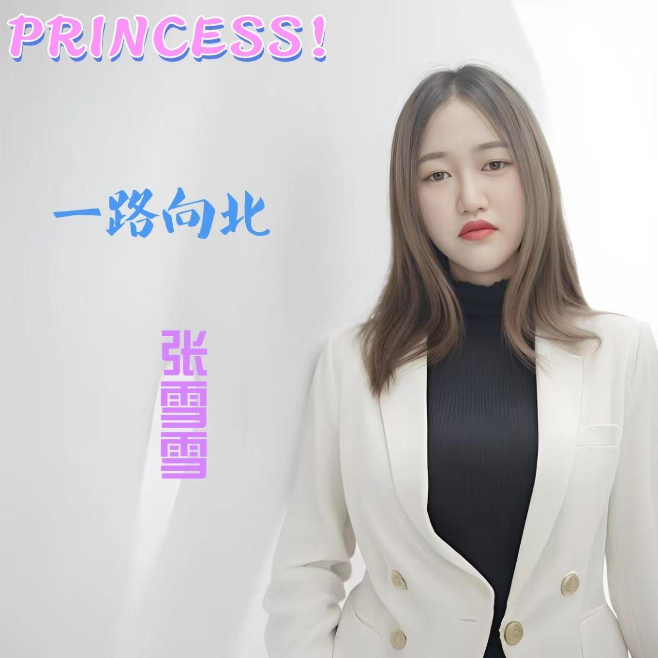 一路向北（伴奏）封面