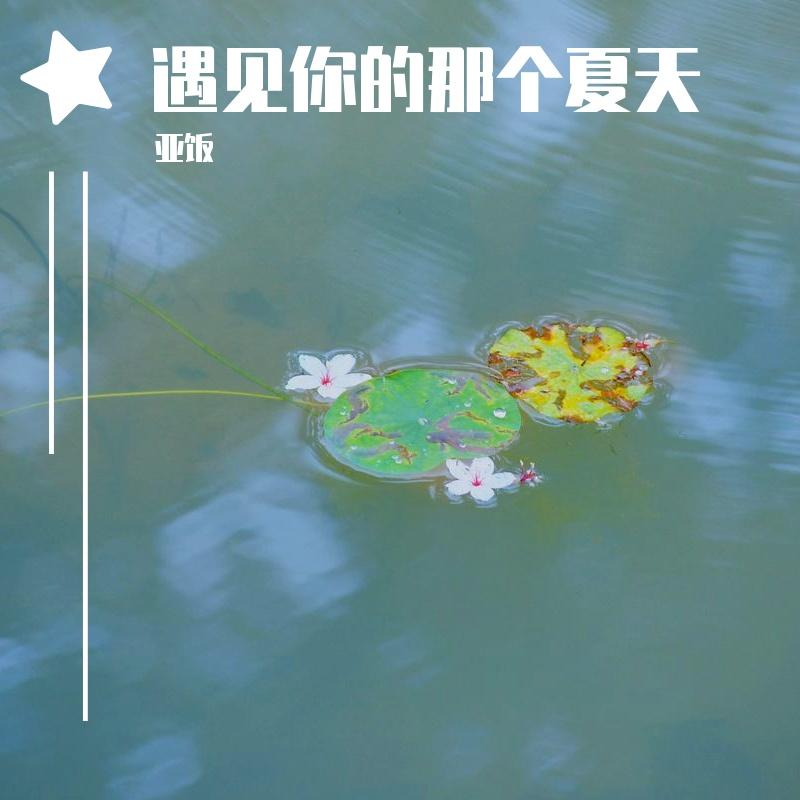 初夏的照片 伴奏封面