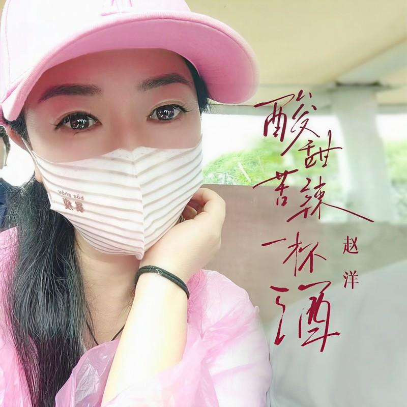酸甜苦辣一杯酒 (DJ九零版伴奏) - 赵洋封面