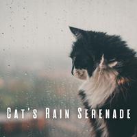 Cat's Rain Serenade: Chill Sounds for Contented Kitties