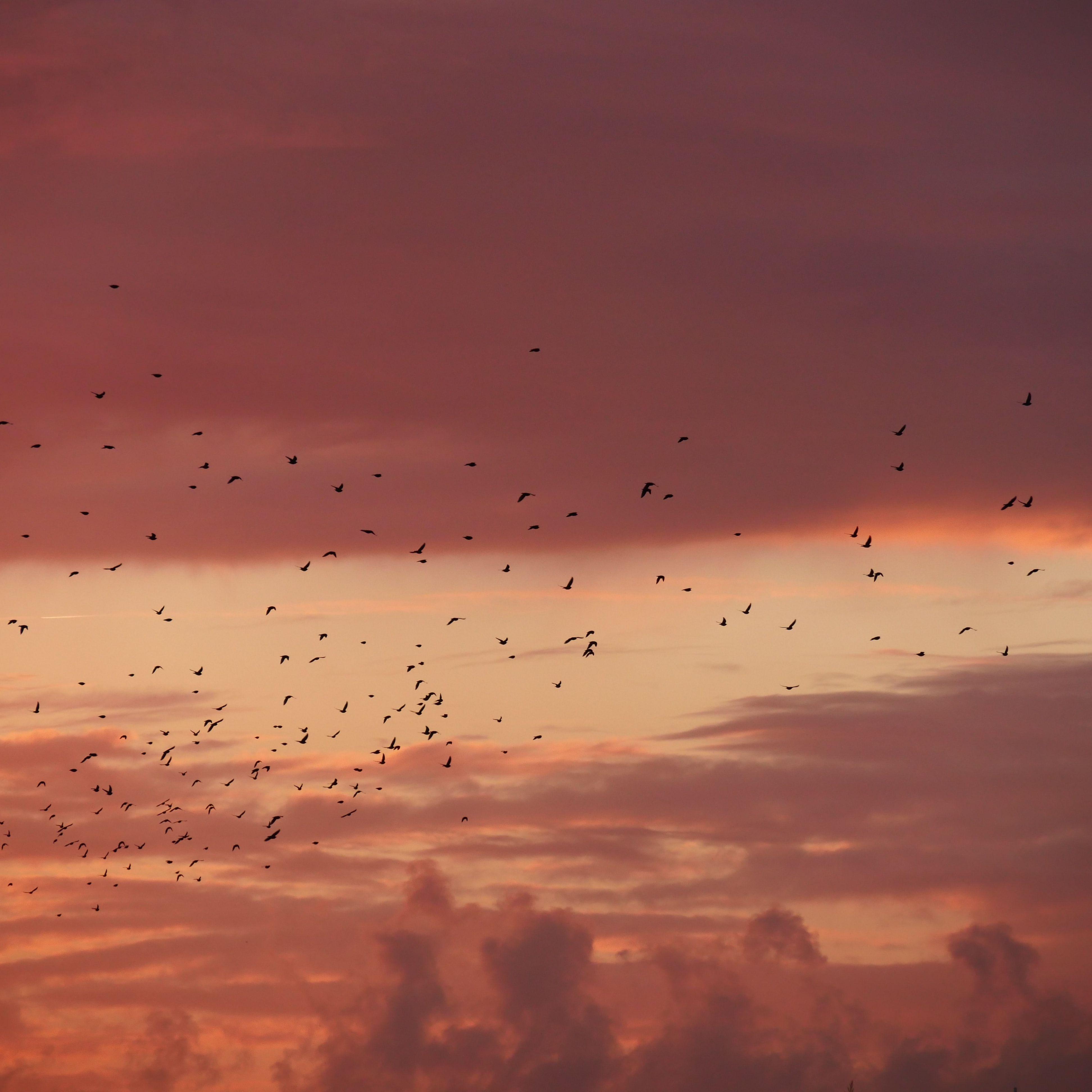 Illusion (Original Mix)