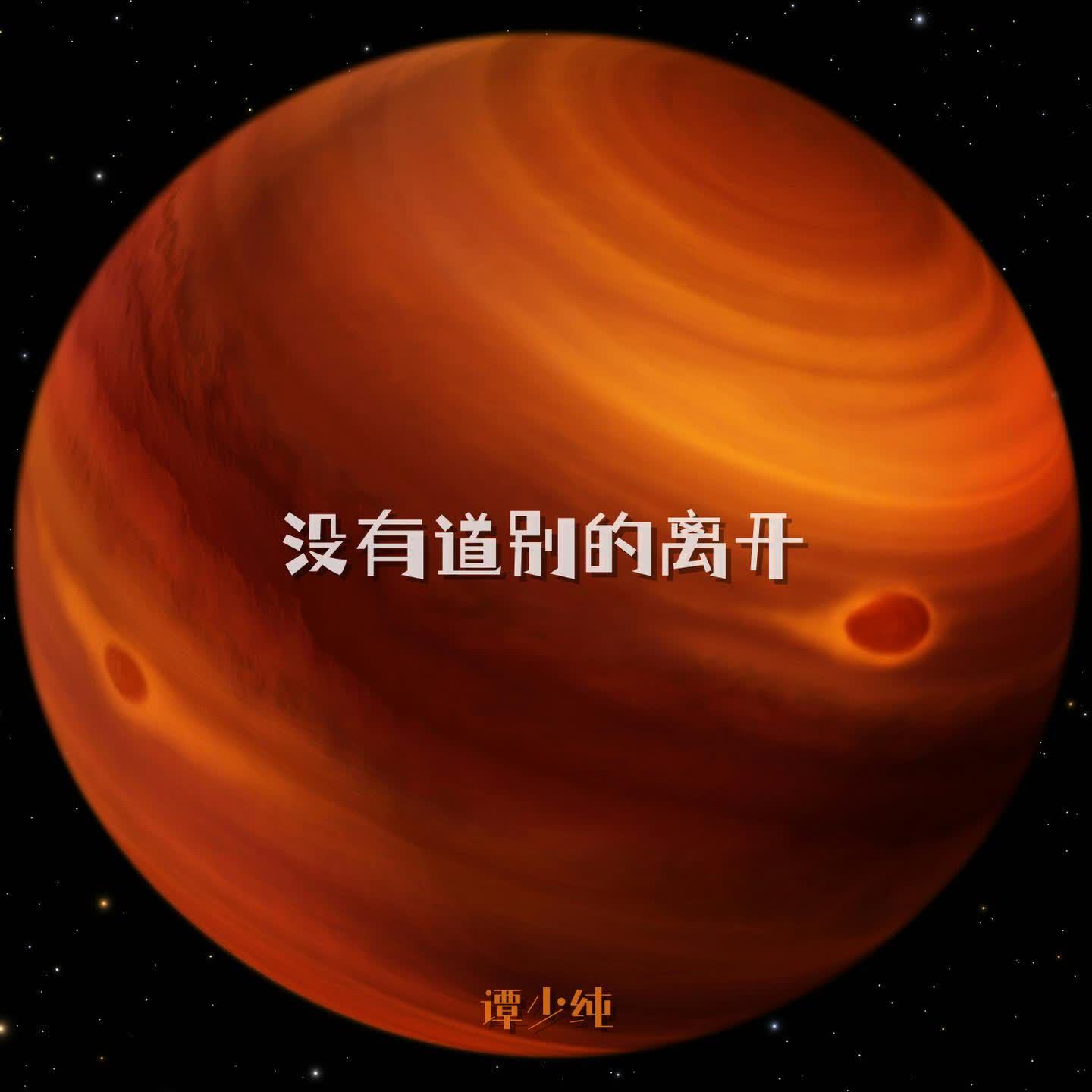没有道别的离开(伴奏) - 谭少纯封面
