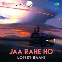 Jaa Rahe Ho - LoFi