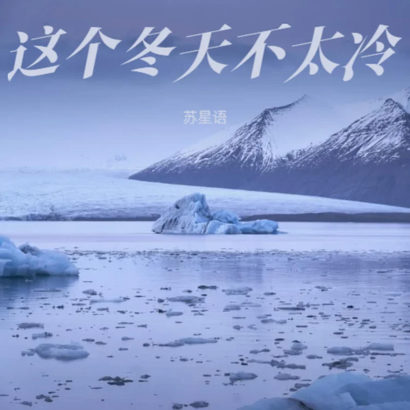 风中听落雪封面