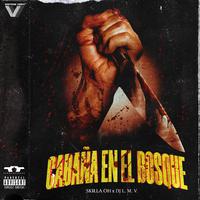 Cabaña En El Bosque (feat. DJ L.M.V.)