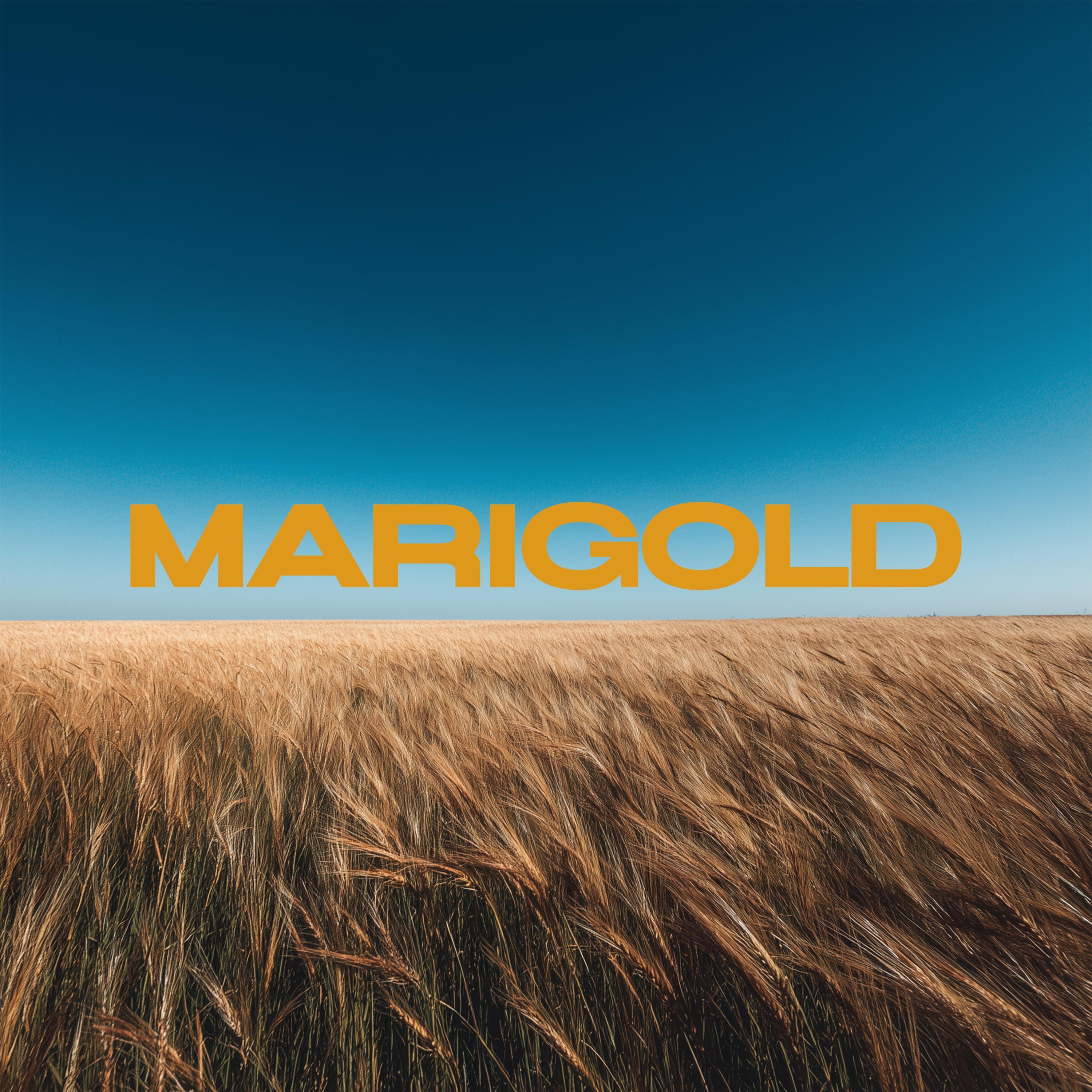 Marigold