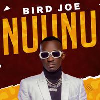 Bird Joe