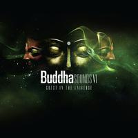 Buddha Sounds Vol. 6: Guest in the Universe