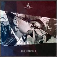 Sonic Soul, Vol. 5