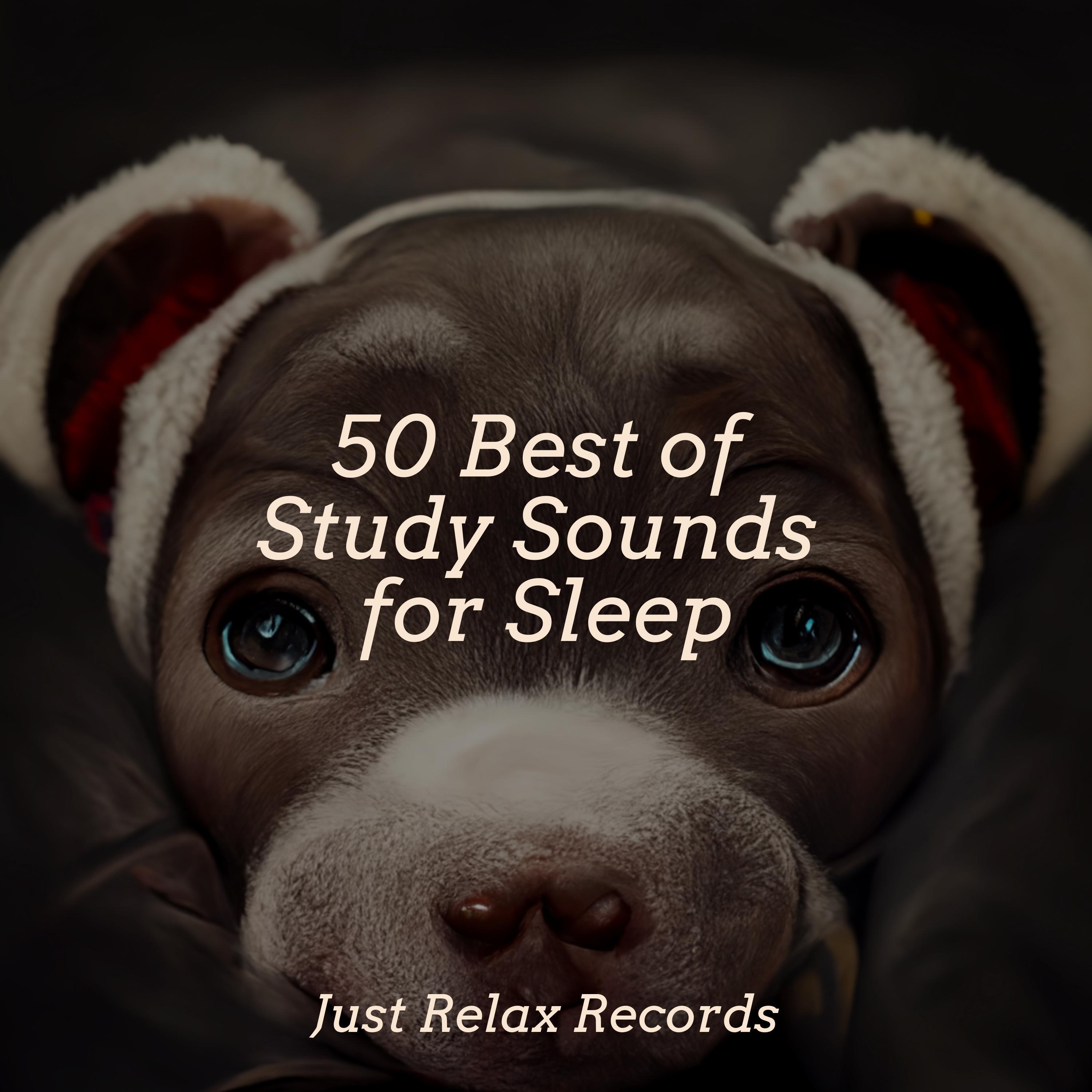 Wandering through Starlit Woods Nursery Rhymes Club/Nature Sounds