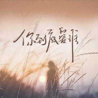 你到底爱谁  (女版) (Cover 刘嘉亮) - 图钉姐封面