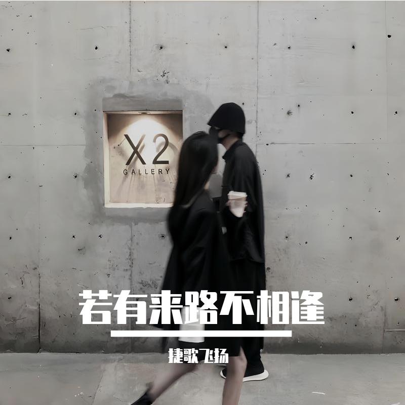 若有来路不相逢封面