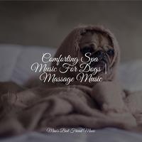 Comforting Spa Music For Dogs | Massage Music