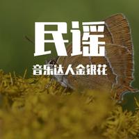 音乐达人金银花