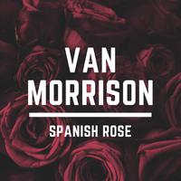 Spanish Rose